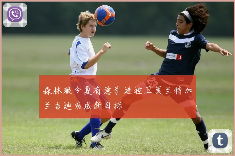森林狼今夏有意引进控卫莫兰特加兰吉迪或成新目标