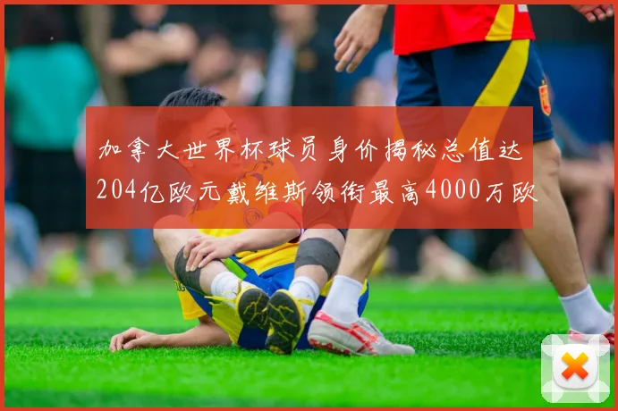加拿大世界杯球员身价揭秘总值达204亿欧元戴维斯领衔最高4000万欧