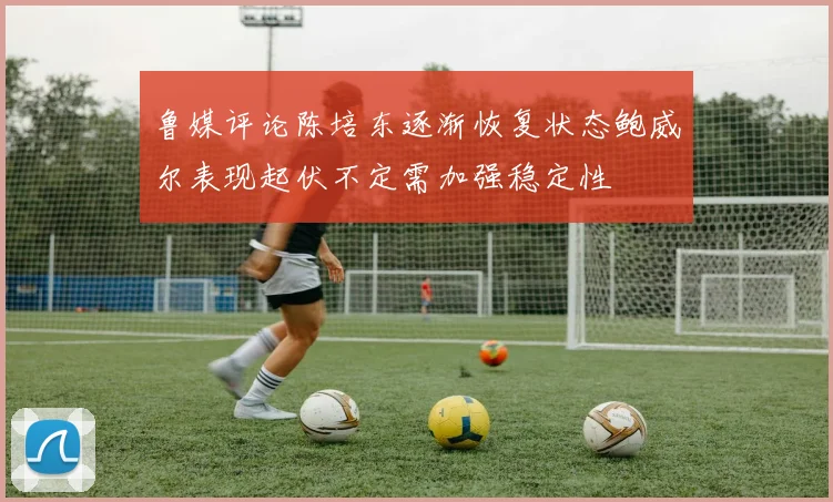 鲁媒评论陈培东逐渐恢复状态鲍威尔表现起伏不定需加强稳定性